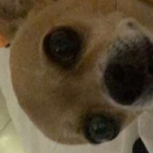 Meet your Posher, Abraham